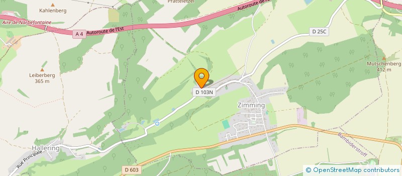 localisation de l'entreprise 518 891 486   HALLERING