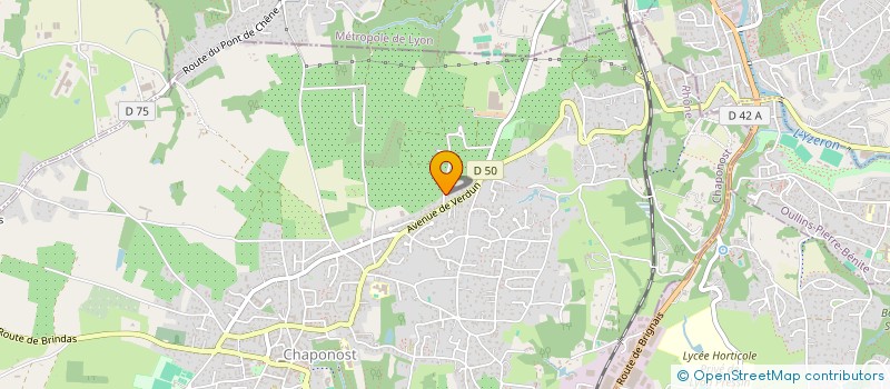 localisation de l'entreprise 519 216 634   CHAPONOST