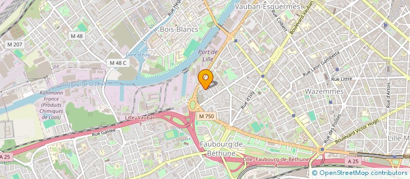 localisation de l'entreprise 520 545 799   LILLE