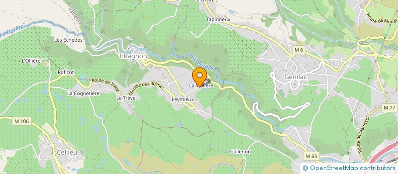 localisation de l'entreprise 521 174 292   CHAGNON