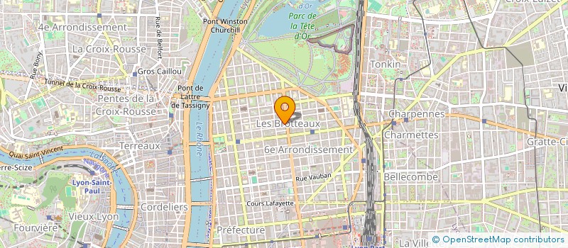 localisation de l'entreprise 521 847 509   LYON