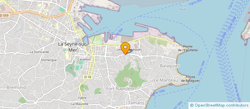 localisation de l'entreprise 522 076 629 à LA SEYNE-SUR-MER