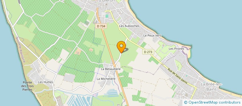 localisation de l'entreprise 523 861 193   SAINT-DENIS-D'OLERON