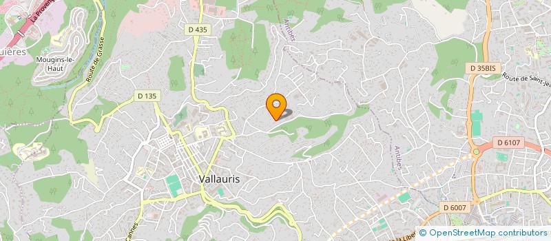 localisation de l'entreprise 525 168 506   VALLAURIS