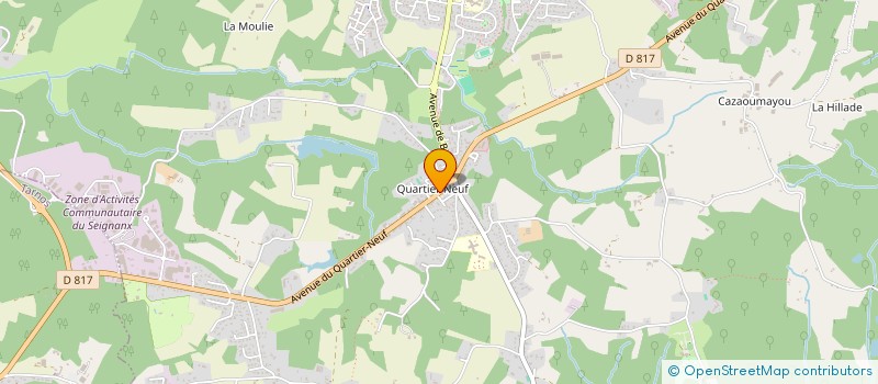 localisation de l'entreprise 525 199 113   SAINT-MARTIN-DE-SEIGNANX