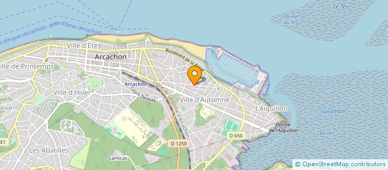 localisation de l'entreprise 528 307 713   ARCACHON