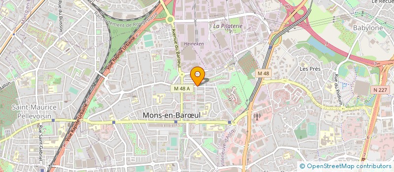 localisation de l'entreprise 528 729 841   MONS-EN-BARUL