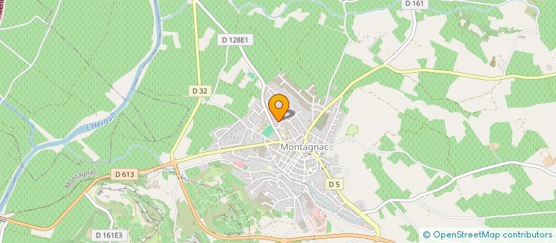 localisation de l'entreprise 528 908 510   MONTAGNAC