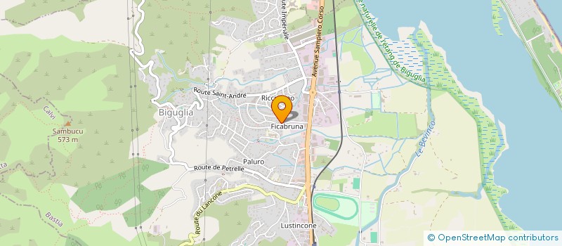 localisation de l'entreprise 529 430 332 à BIGUGLIA
