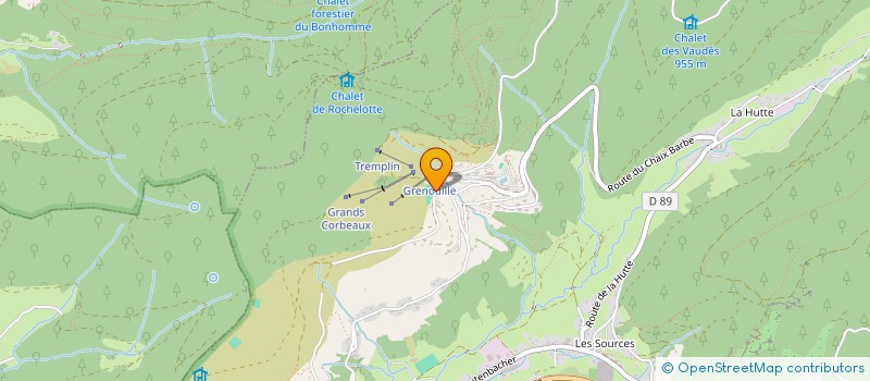 localisation de l'entreprise 529 886 186   BUSSANG