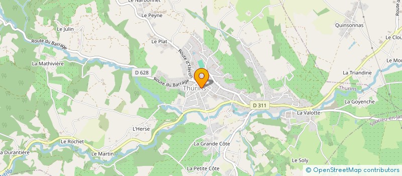 localisation de l'entreprise 530 375 815   THURINS