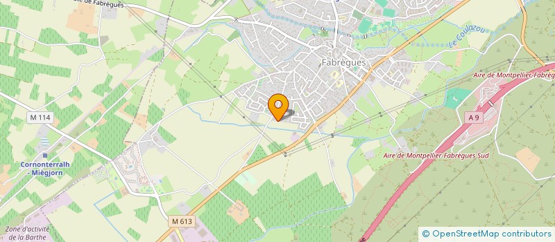localisation de l'entreprise 530 473 362 à MONTPELLIER