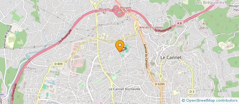 localisation de l'entreprise 531 413 011   CANNES