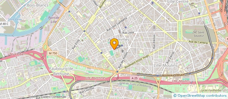 localisation de l'entreprise 533 250 197 à LILLE