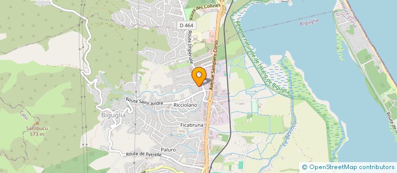 localisation de l'entreprise 533 934 519   BIGUGLIA