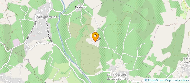 localisation de l'entreprise 538 076 530   SAINT-CESAIRE-DE-GAUZIGNAN