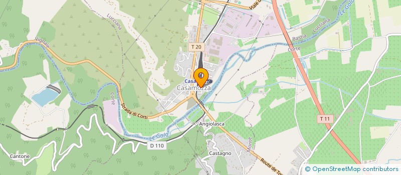 localisation de l'entreprise 538 776 162 à BORGO