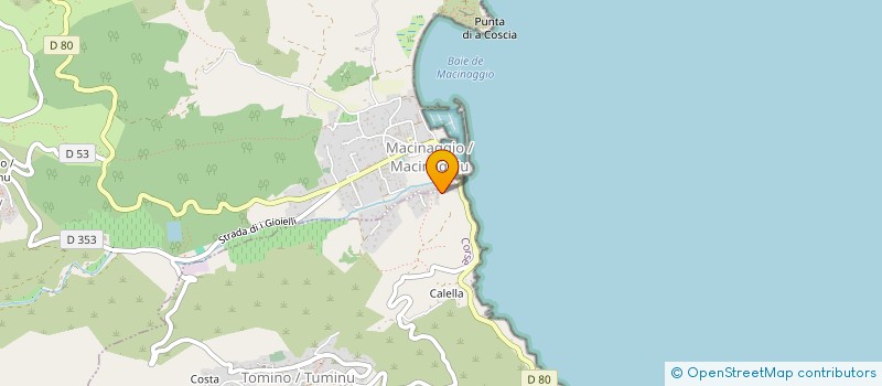 localisation de l'entreprise 538 818 527   TOMINO