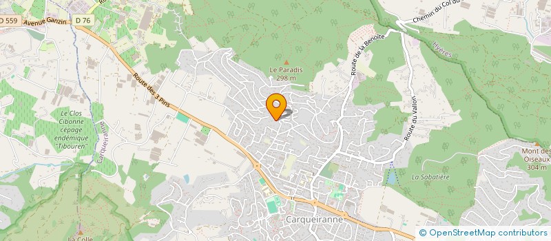 localisation de l'entreprise 539 265 595 à CARQUEIRANNE