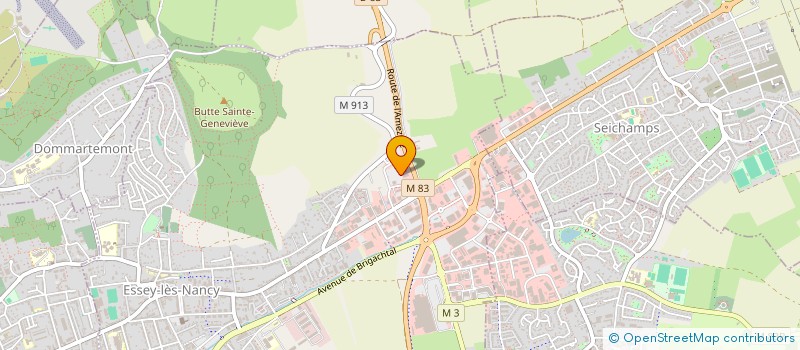 localisation de l'entreprise 54 GRAND BUFFET  ESSEY-LES-NANCY