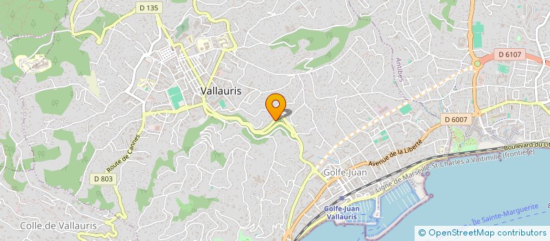 localisation de l'entreprise 564 LE CLOS DE LA MONTAGNE  VALLAURIS