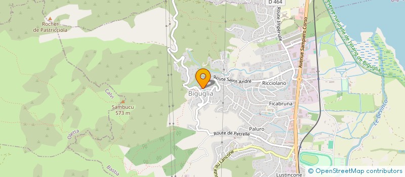 localisation de l'entreprise 753 577 295 à BIGUGLIA
