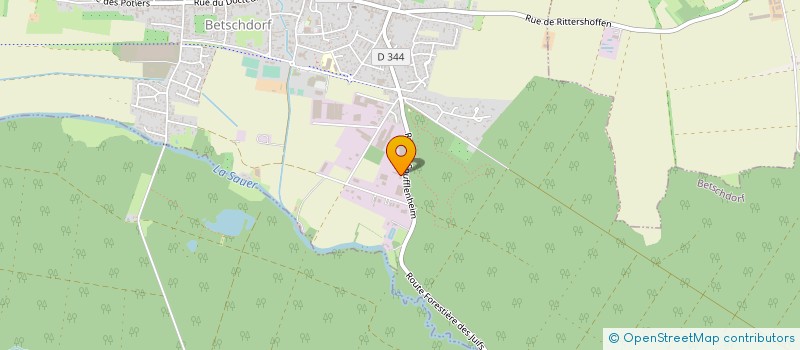 localisation de l'entreprise 789 042 561   BETSCHDORF