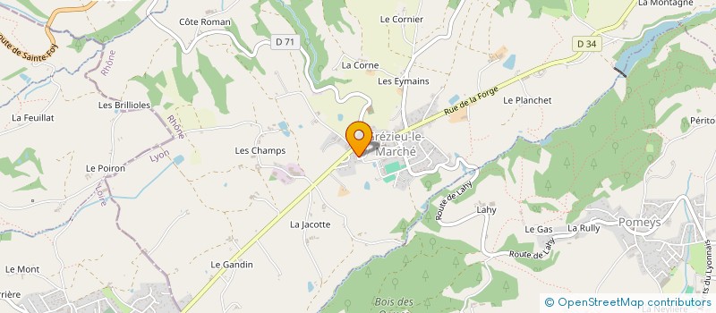 localisation de l'entreprise 789 423 571   SAINT-MEDARD-EN-FOREZ