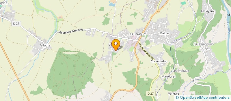 localisation de l'entreprise 793 699 620 à CUSSAC-SUR-LOIRE