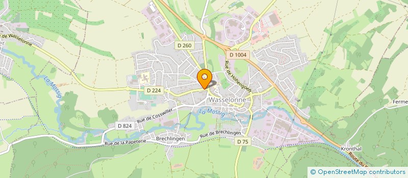 localisation de l'entreprise 795 231 190   VENDENHEIM