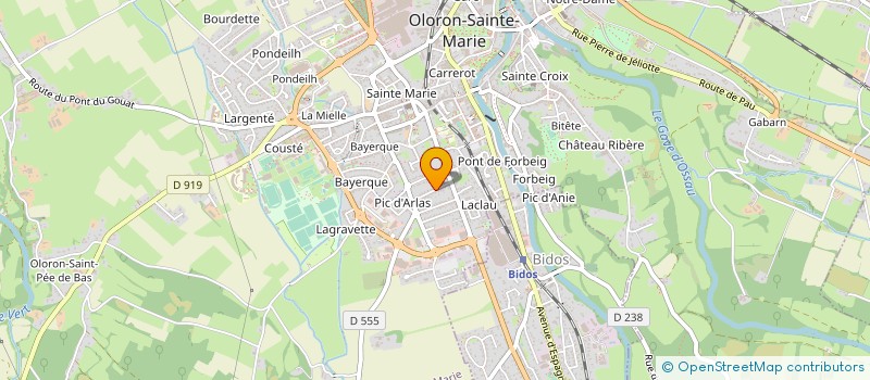 localisation de l'entreprise 799 677 976 à OLORON-SAINTE-MARIE