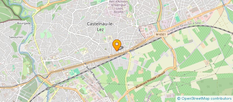 localisation de l'entreprise 799 956 990   CASTELNAU-LE-LEZ
