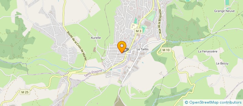 localisation de l'entreprise 800 331 910   ROCHE-LA-MOLIERE