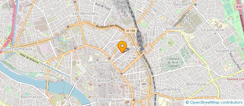 localisation de l'entreprise 800 410 599 à TOULOUSE