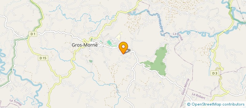 localisation de l'entreprise 800 459 265 à GROS-MORNE
