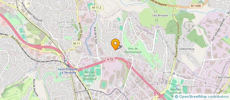 localisation de l'entreprise 800 699 811   SAINT-ETIENNE