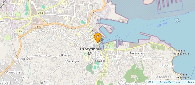 localisation de l'entreprise 800 999 062 à LA SEYNE-SUR-MER