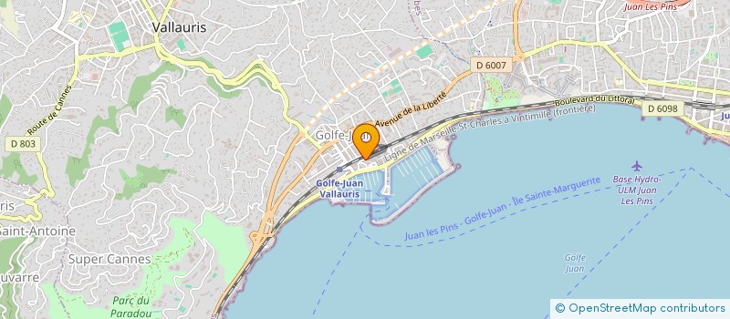 localisation de l'entreprise 801 614 546 à VALLAURIS