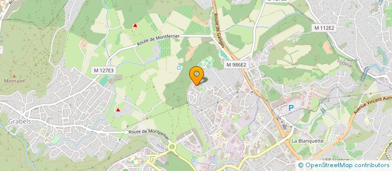 localisation de l'entreprise 801 767 583   SAINT-PARGOIRE