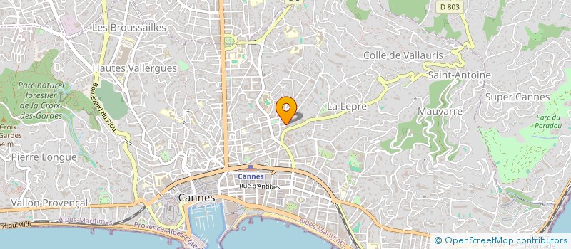 localisation de l'entreprise 802 152 421 à NICE