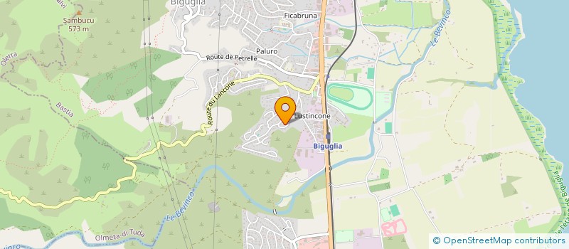 localisation de l'entreprise 802 265 405 à BORGO