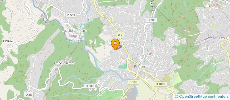 localisation de l'entreprise 802 307 835   PEGOMAS