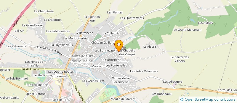 localisation de l'entreprise 802 309 567   SAINTE-MAURE-DE-TOURAINE