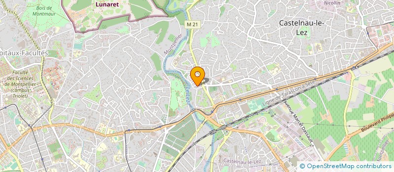 localisation de l'entreprise 802 633 172   CASTELNAU-LE-LEZ