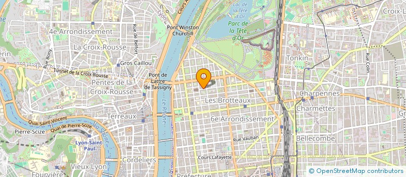 localisation de l'entreprise 802 658 419 à LYON