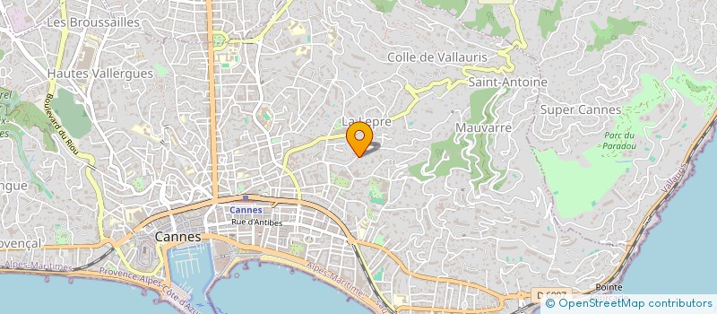 localisation de l'entreprise 803 258 243 à CANNES
