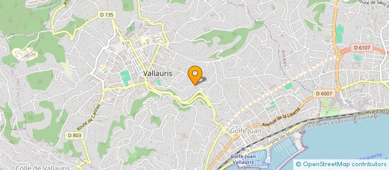 localisation de l'entreprise 803 325 042   VALLAURIS