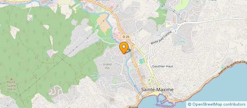 localisation de l'entreprise 804 382 018 à SAINTE-MAXIME