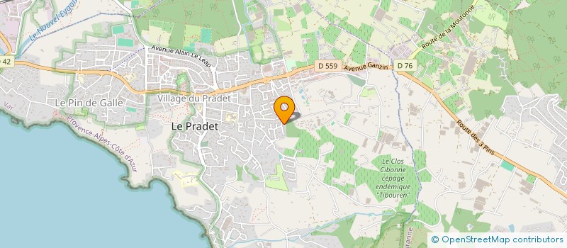 localisation de l'entreprise 804 809 663 à LE PRADET