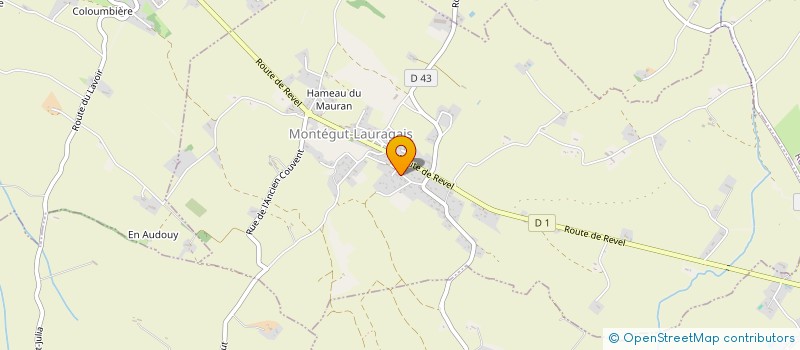 localisation de l'entreprise 805 061 371   MONTEGUT-LAURAGAIS